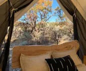 Camp Chester Glamping Retreat