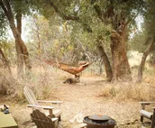 Camp Chester Glamping Retreat