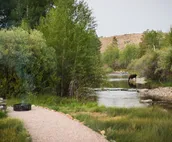 Riverbend Cabin