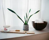 Norman Boho Bungalow