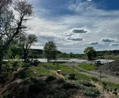 River’s edge cabin, on private 5 acre river front