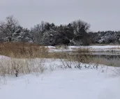Farmhouse Cabin