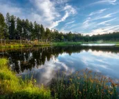 ★The Fun Cabin★Pond-Views★BHBungalows #5★