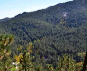 Minutes from Rushmore - Backroads Inn and Cabins