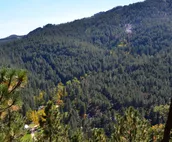 Hugo Cabin - Minutes from Rushmore - Backroads