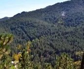 Minutes from Rushmore - Backroads Inn and Cabins