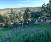 4 BR, 2 BA-No Neighbors, Walk to DT Custer