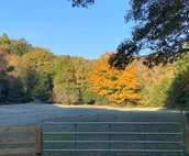 Tentrr Signature Site - Trout Meadow