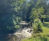 Tentrr Signature Site - Trout Meadow