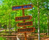 Camp Bell at Twin Rivers - Peaceful rustic cabin w