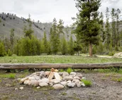 Casino Pines - on the bank of the Salmon River!