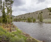 Casino Pines - on the bank of the Salmon River!
