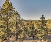 Renovated Ruidoso Cabin w/ Sierra Blanca View