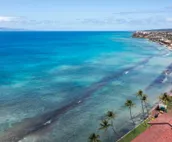 Coastal Remodeled ocean view Papakea Resort condo