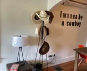 Cool Clean Cowboy Home