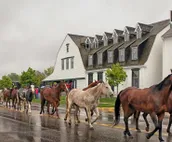 The Big Horn Homestead-2 Spacious Units,16+ guests