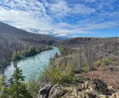 Black Bear Cabin on Kenai River