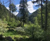 Tranquility View - Off Grid Scandinavian Luxury