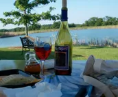 Zip Lining Next Door | On Wine Trail | Hiking All