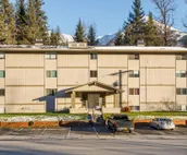 Skiview #103