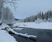 Skiview #103