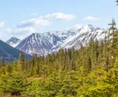 Skiview #103