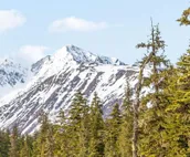 Skiview #103