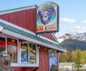 Skiview #103
