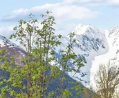Skiview #103