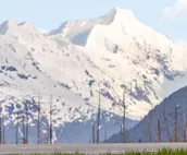 Skiview #103