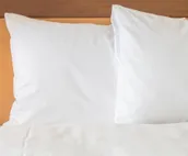 Holiday Inn Express Hotel & Suites Lexington, an IHG Hotel