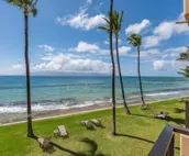 Paki Maui 205