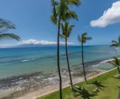 Paki Maui 404
