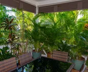 Coconut Plantation 1200-4