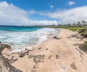 Kapalua Bay Villa 23G2