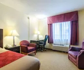 Econo Lodge Lexington