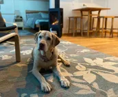 Eagle Peak Guesthouse