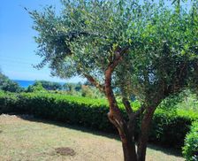 Italy Provincia di Livorno Norsi vacation rental compare prices direct by owner 36058756