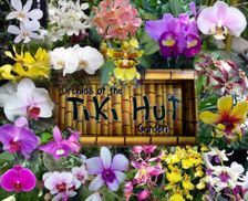 United States Hawaii Hanalei vacation rental compare prices direct by owner 20336