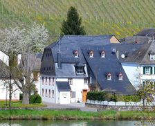 Germany Rhineland-Palatinate Piesport vacation rental compare prices direct by owner 4488819