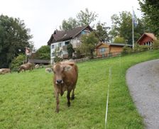 Switzerland Bodensee-Thurgau Neukirch vacation rental compare prices direct by owner 4657847