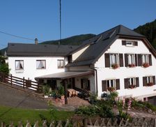 France Grand Est Wangenbourg-Engenthal vacation rental compare prices direct by owner 6672444