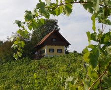 Austria Thermenland, Vulkanland Steiermark vacation rental compare prices direct by owner 4973819