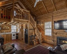 United States Michigan Cassopolis vacation rental compare prices direct by owner 2612872