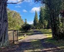 United States Hawaii Mountain View vacation rental compare prices direct by owner 2557545