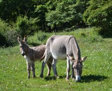 France Alpes-de-Haute-Provence Barrême vacation rental compare prices direct by owner 10385950