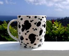 Dominica Weirs Marigot Saint Andrew's Parish vacation rental compare prices direct by owner 13864340