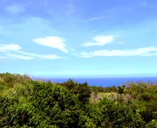 United States Hawaii Honokaa vacation rental compare prices direct by owner 35273