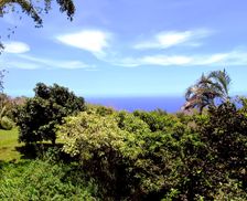United States Hawaii Honokaa vacation rental compare prices direct by owner 46714
