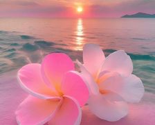 United States Hawaii Kailua vacation rental compare prices direct by owner 12968